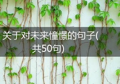 关于对未来憧憬的句子(共50句)