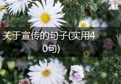 关于宣传的句子(实用40句)