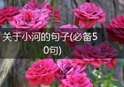 关于小河的句子(必备50句)