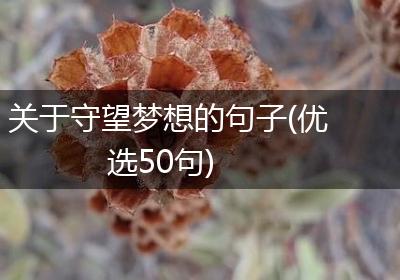 关于守望梦想的句子(优选50句)