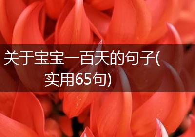 关于宝宝一百天的句子(实用65句)