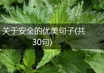 关于安全的优美句子(共30句)
