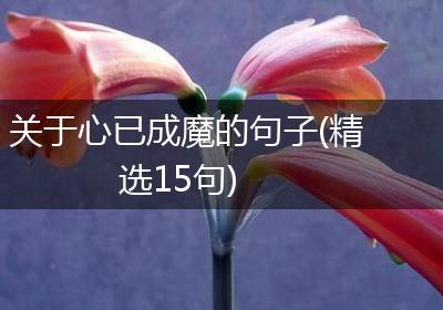 关于心已成魔的句子(精选15句)