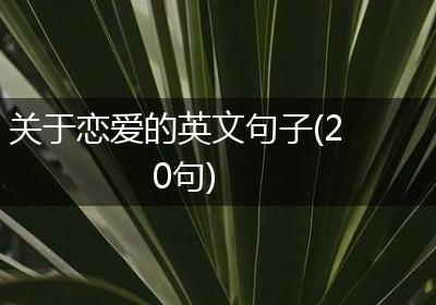 关于恋爱的英文句子(20句)