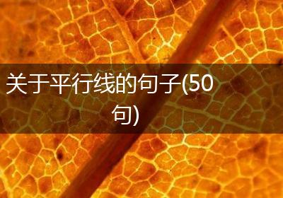 关于平行线的句子(50句)