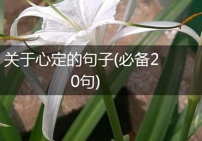 关于心定的句子(必备20句)