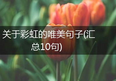 关于彩虹的唯美句子(汇总10句)
