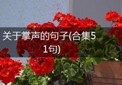 关于掌声的句子(合集51句)