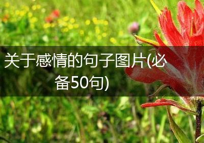 关于感情的句子图片(必备50句)