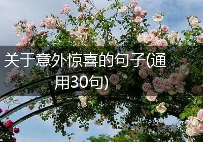 关于意外惊喜的句子(通用30句)