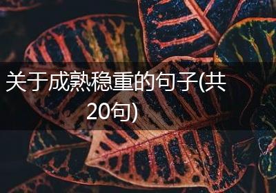 关于成熟稳重的句子(共20句)
