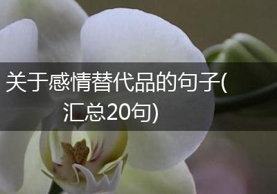关于感情替代品的句子(汇总20句)