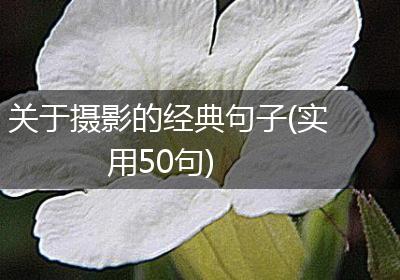 关于摄影的经典句子(实用50句)