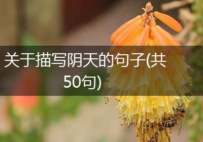 关于描写阴天的句子(共50句)