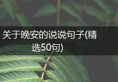 关于晚安的说说句子(精选50句)