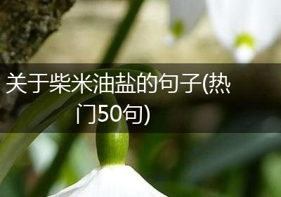 关于柴米油盐的句子(热门50句)