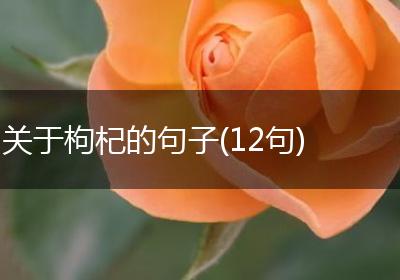 关于枸杞的句子(12句)