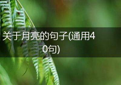 关于月亮的句子(通用40句)