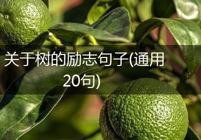 关于树的励志句子(通用20句)