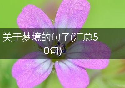 关于梦境的句子(汇总50句)