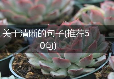关于清晰的句子(推荐50句)