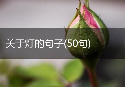 关于灯的句子(50句)