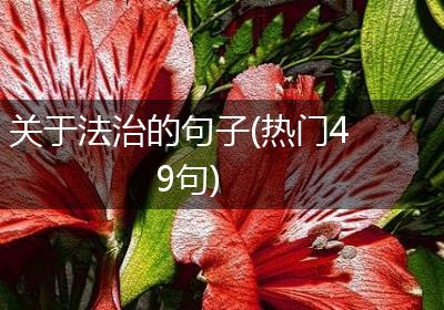 关于法治的句子(热门49句)