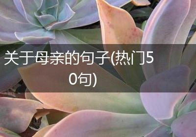 关于母亲的句子(热门50句)