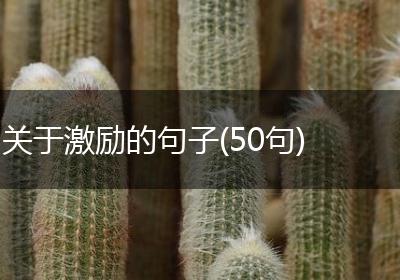 关于激励的句子(50句)