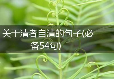 关于清者自清的句子(必备54句)