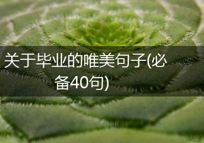 关于毕业的唯美句子(必备40句)