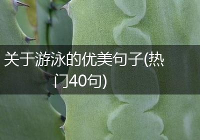 关于游泳的优美句子(热门40句)