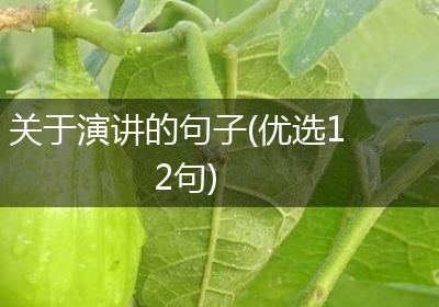 关于演讲的句子(优选12句)