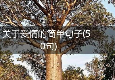 关于爱情的简单句子(50句)