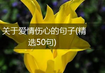 关于爱情伤心的句子(精选50句)
