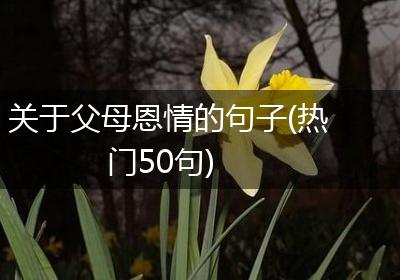 关于父母恩情的句子(热门50句)