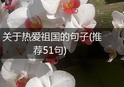 关于热爱祖国的句子(推荐51句)