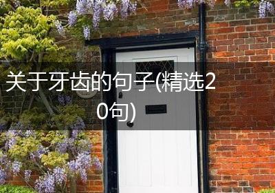 关于牙齿的句子(精选20句)