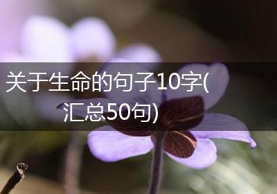 关于生命的句子10字(汇总50句)