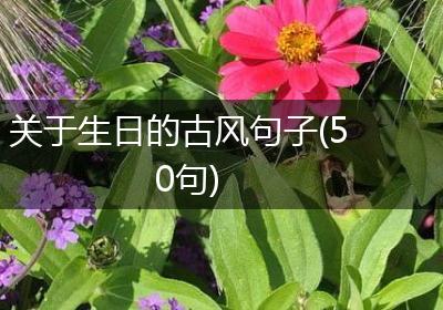 关于生日的古风句子(50句)