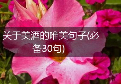 关于美酒的唯美句子(必备30句)