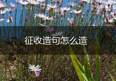 征收造句怎么造
