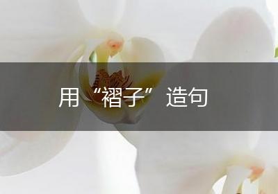 用“褶子”造句