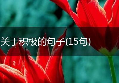 关于积极的句子(15句)