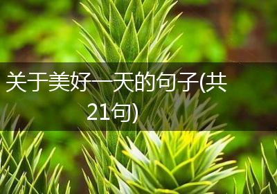 关于美好一天的句子(共21句)