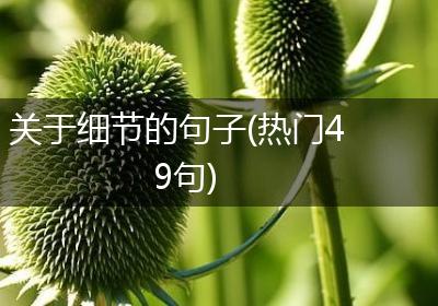 关于细节的句子(热门49句)