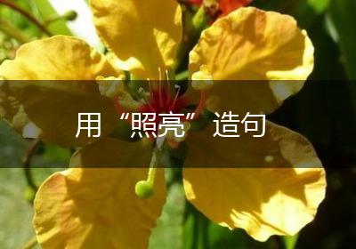 用“照亮”造句
