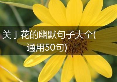 关于花的幽默句子大全(通用50句)