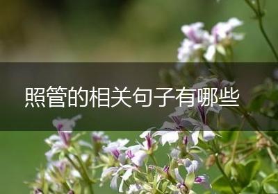 照管的相关句子有哪些