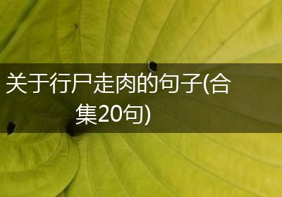 关于行尸走肉的句子(合集20句)